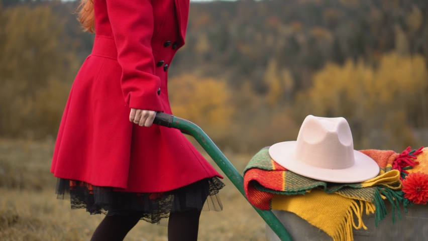 Autumn style of a red-haired girl. Woman with vegetables and fruits. Harvest or Thanksgiving. Autumn design, picnic. Rural autumn still life with pumpkins and apples in a wheelbarrow.
