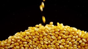 Falling popcorn mais grains on a black background.  - Powered by Shutterstock - Get 15% off with code: PIKWIZARD15