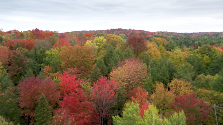 Scenic yellow, red, orange autumn leaves in New Hampshire. 4K fall foliage background copy space. Cinematic vibrant woodland on sunny fall day. Aerial top down drone flight above colorful dense forest