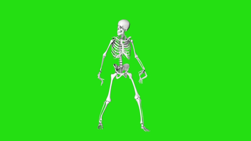 Skeleton zombie looks around. Creepy skeleton with long fingers. Halloween video. 3D animation on a green screen. All Saints Day Royalty-Free Stock Footage #1092381451