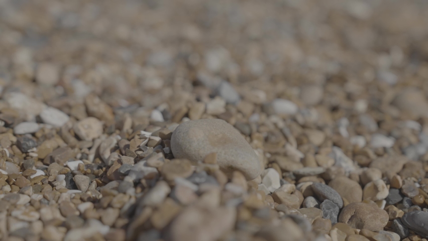 Still close up shot of woman picking up stone from stony beach	 Royalty-Free Stock Footage #1092398329