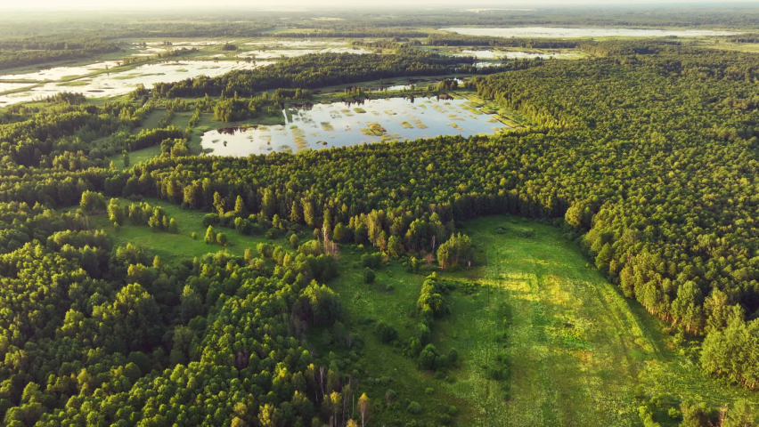 Bog with grass and moss and trees. Swamp landscape. Peatland in wet. Wild mire, wamps and Peat Bogs. Swampy land and wetland, marsh, bog. Marshland after peat extraction. Bog on Flooded field.

