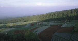 Aerial view of beautiful terraced vegetable plantation on the slope of mount Sumbing in Magelang, central java, Indonesia. drone shoot of tropical landscape and hills in the morning.