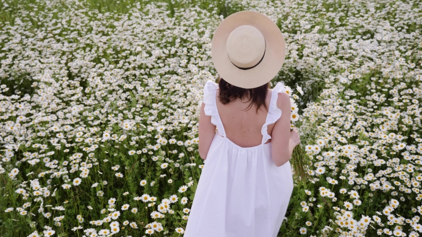 woman in a white dress and hat walks through a field with daisies in the evening at sunset in summer