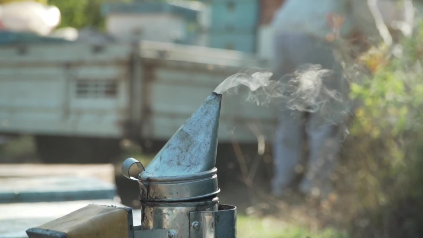 Honey Bee Smoker Smoke, Honey harvest | Shutterstock HD Video #1092429117