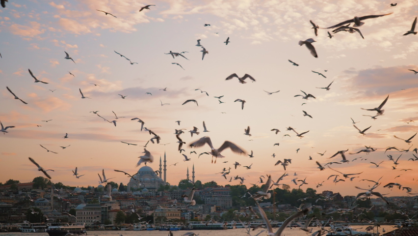 Flock of seagulls flying above Bosphorus at sunset, against Eminonu pier and Suleymaniye mosque with minarets, magnificent scarlet sky, Istanbul, slow motion Royalty-Free Stock Footage #1092431795