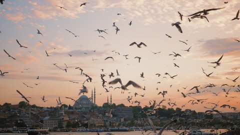 Flock of seagulls flying above Bosphorus at sunset, against Eminonu pier and Suleymaniye mosque with minarets, magnificent scarlet sky, Istanbul, slow motion - Βίντεο στοκ