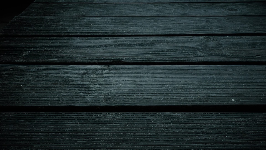 Shutterstock Video