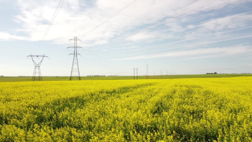 Aerial turning motion over a yellow Canola field blooming with tall transmission towers on the Canadian prairies