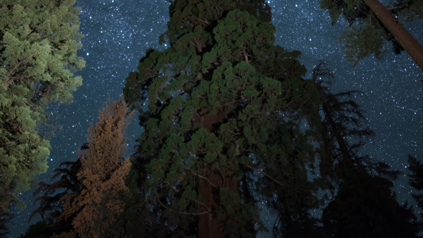 Sequoia  Kings Canyon National Park Startrails Around General Grant Tree Astrophotography Time Lapse California USA