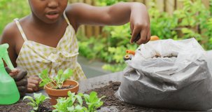 video of african american father and daughter planting plants. Enjoying quality family time together in garden.