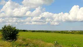 Panorama of endless fields and clouds. Summer meadow, a young oats. Wheat to the horizon. Large white clouds on a blue sky. Idyll and relaxation. The rural landscape.