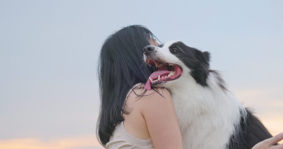 Close up attractive young asian woman hugging and kissing her cute friend black and white border collie dog with love at park on sunset background. Pet lover, Animals and human friendship. Slow motion Royalty-Free Stock Footage #1092469505