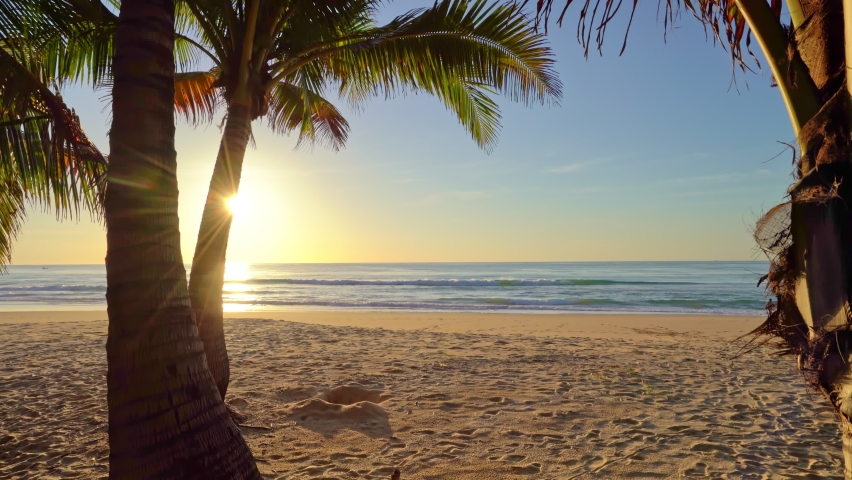 Beautiful coconut palm trees on the beach Phuket Thailand, Phuket Islands Palms trees on the ocean. Palms grove on the seashore with Sunset sky amazing golden light Summer landscape background | Shutterstock HD Video #1092479349