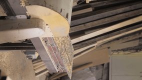 Vertical video.A carpenter in the workshop works on a woodworking machine, processes and aligns wood for the manufacture of furniture parts. The board comes out after processing, sawdust.Close-up