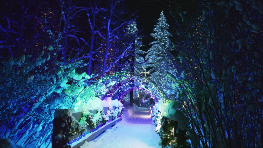 Snow covered magical winter forest under snowfall and dark night sky. Winter wonderland scene in slow motion 6K footage shot on RED camera. Cinematic bright colorful Christmas illumination at night