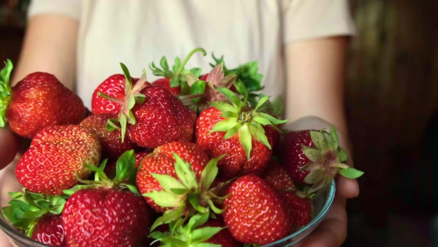 healthy eating, seasonal food. Woman hand holding bowl with ripe red fruit strawberry. Unrecognizable girl ready to eat seasonal summer red berry. Healthy organic dessert, vegan food concept