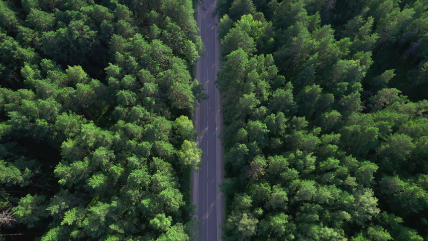 Aerial view of a car driving through the forest. Highway between trees. Coniferous forest. Lonely car.