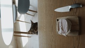 The cat looks out from under the table and passionately sniffs a large piece of meat that was left unattended in the kitchen. It looks very funny. Vertical video for your phone