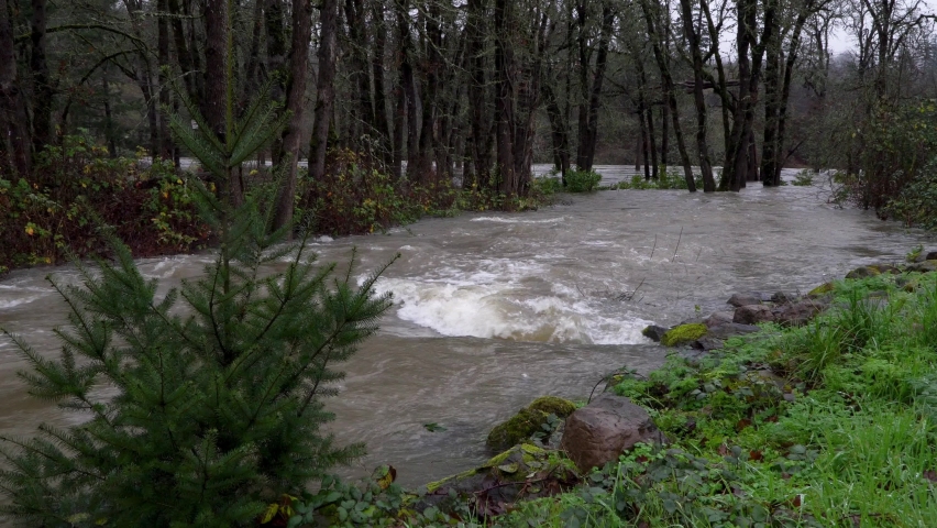 Mill Creek flowing at flood levels with swift current through trees