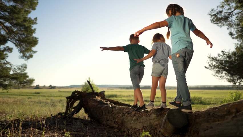 Group of children walks on a log in the park. People on the log.Children in the forest park walk in nature.Legs on a log summer walk.Teamwork of children in forest park.Girl child in nature at sunset. Royalty-Free Stock Footage #1092564787