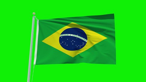 Seamless Loop Animation Brazil Flag On Stock Footage Video 100