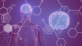 Animation of chemical formulas over human body model on purple background. Global science, connections, data processing and digital interface concept digitally generated video. - Powered by Shutterstock - Get 15% off with code: PIKWIZARD15
