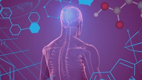 Animation of chemical formulas over human body model on purple background. Global science, connections, data processing and digital interface concept digitally generated video. - Powered by Shutterstock - Get 15% off with code: PIKWIZARD15