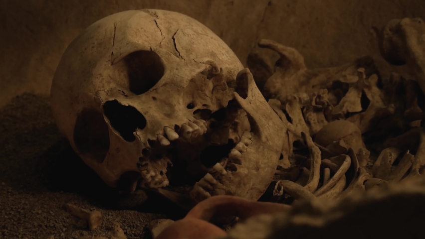 Old human bone on ground. Murder or victim concept. History and paleontology. Skull with jaw in dark, archaeology