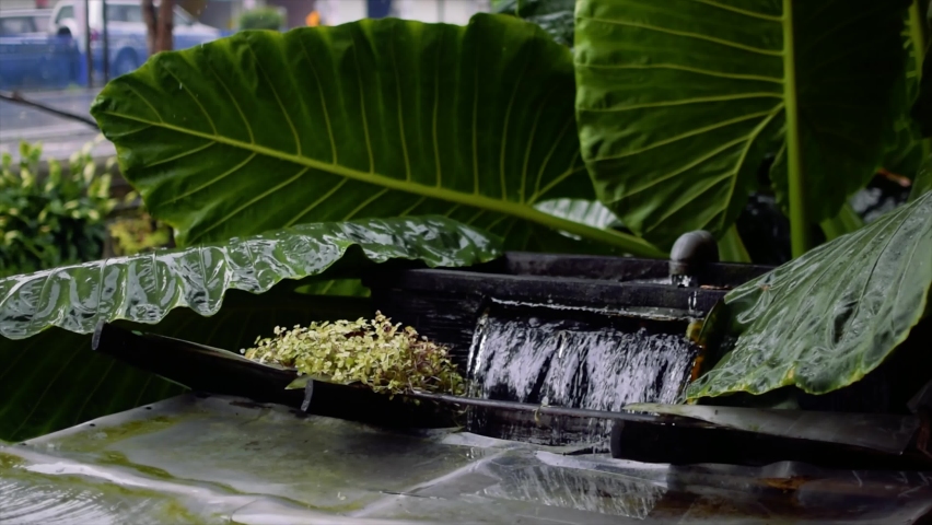 Heavy rain coming off a house roof during autumn heavy rain. Pouring over covered patio