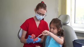 Oral hygiene lesson of jaw anatomical model for child in dentistry 4k video. Dentist shows child how to properly brush his teeth with a toothbrush.