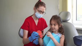 Dentist shows child how to properly use toothbrush for brush teeth. 4k video. Jaw anatomical model teeth brushing. Pediatric dentist teaching oral hygiene lesson for kids in dentistry.