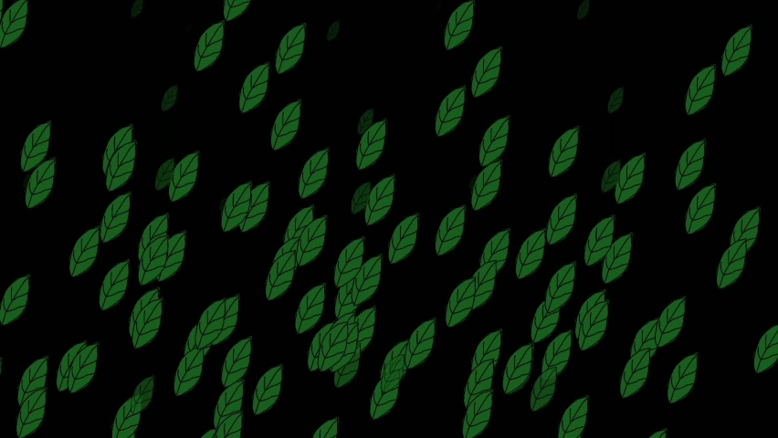 Green Leaves fall animation on black background.