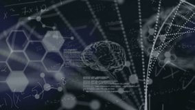 Animation of scientific data processing, human brain and dna strand spinning. global science, computing, data processing and digital interface concept digitally generated video. - Powered by Shutterstock - Get 15% off with code: PIKWIZARD15