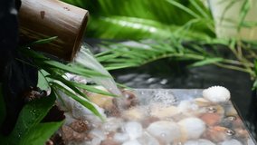 Water flowing in bamboo pipes relaxing nature decorated beautiful seashells video