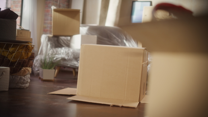 Portrait of Little Girl Plays Hide and Seek Jumping out of Cardboard Box, playing Hide and Seek. Cheerful Child Having Fun in Apartment Living Room. Happy, Laughing, Cute Kid Enjoying Childhood Royalty-Free Stock Footage #1092628723