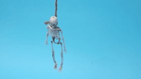 skeleton hanging on gallows over blue background. Halloween video with copy space place for text. The skeleton hung on a rope. Human bones dangle from a rope