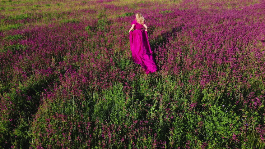 woman blonde in a pink long dress walks through a field with bright purple flowers in summer . top view from a drone