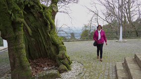 Woman looks at hollow chestnut and takes a picture with her mobile