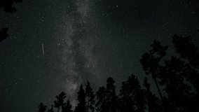 Timelapse of The Milky Way galaxy moves above the silhouettes of trees. Starry night background. Epic video 4K