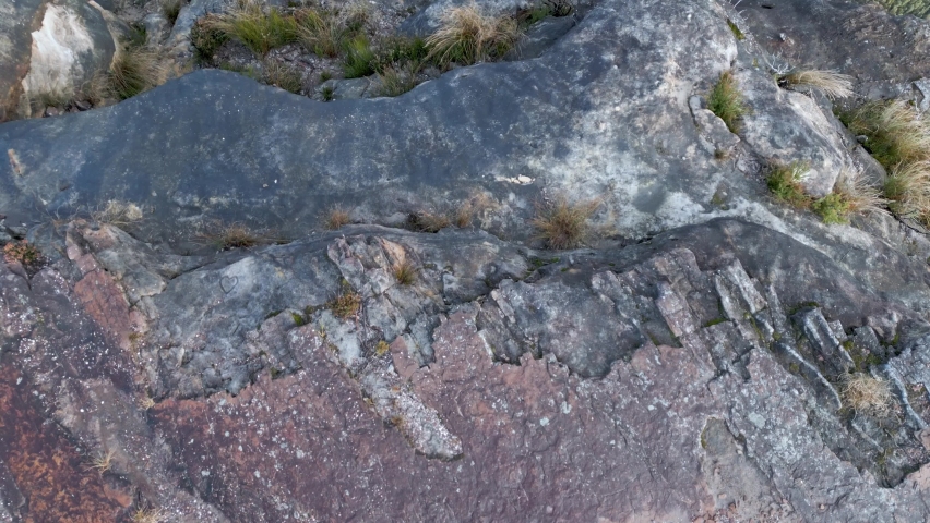 Mount Hay Blue Mountains Bush 