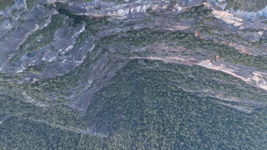 Mount Hay Blue Mountains Bush 