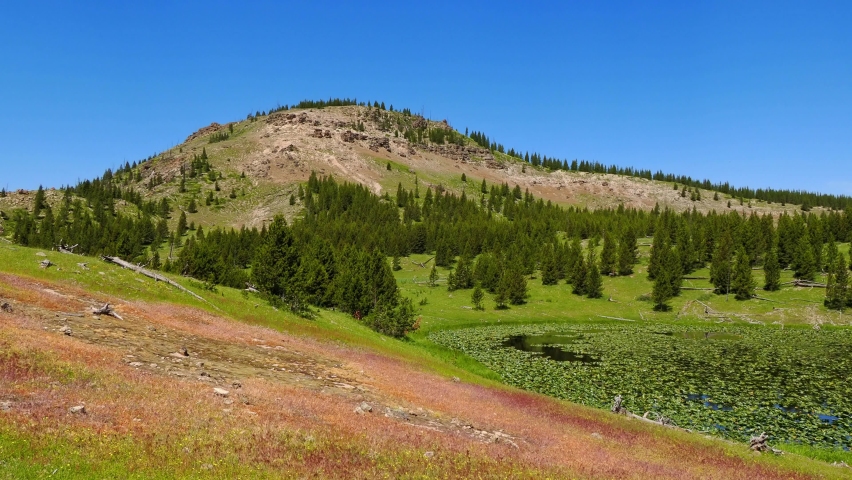 Sunny view of the landscape of Lily Pond at Wyoming