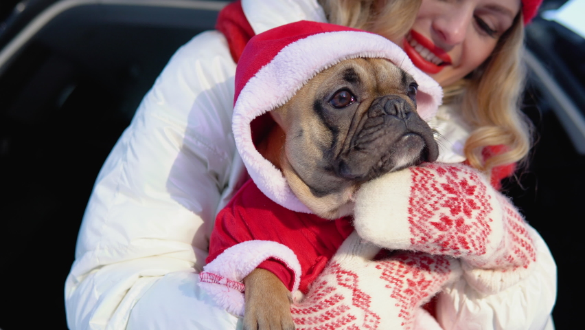 Woman and cute dog enjoying outdoors at the mountain into the car. Travel concept. Winter season
