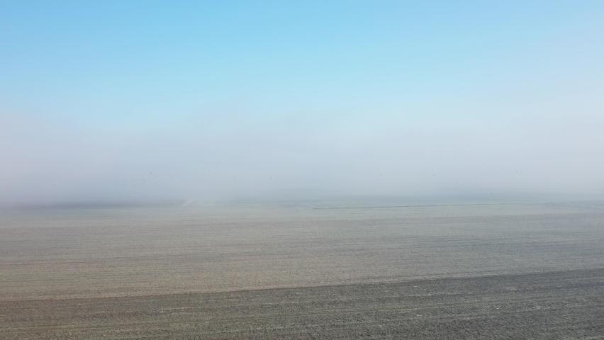 The fog over the fields of the French countryside in Europe, in France, in the Center region, in the Loiret, towards Orleans, in Winter, on a sunny day.