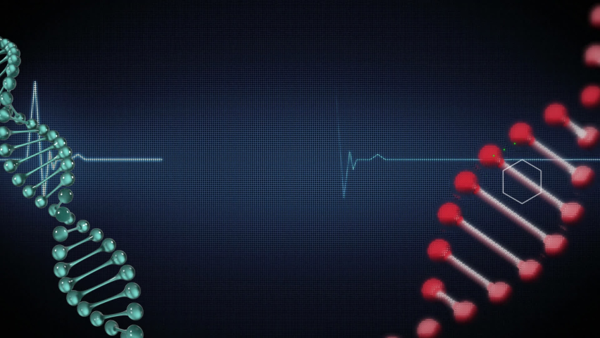 Animation of cardiograph over dna strands. Global medicine and digital interface concept digitally generated video. - Powered by Shutterstock - Get 15% off with code: PIKWIZARD15