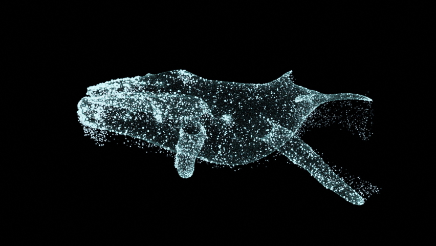 Animated Particle Whale Floats. 4K