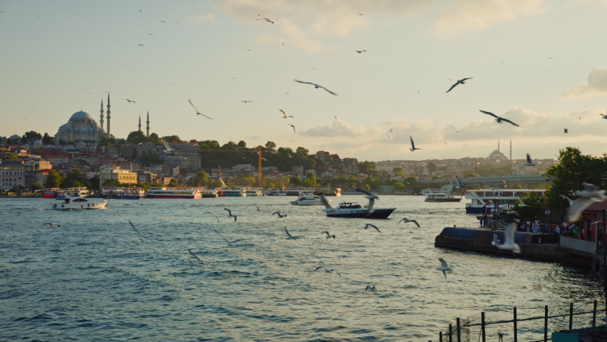 Flying seagulls over the Bosphorus in Istanbul, Turkey | Shutterstock HD Video #1092745969