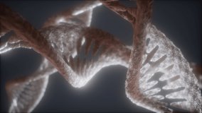 Loop double helical structure of DNA strand close view motion animation - Powered by Shutterstock - Get 15% off with code: PIKWIZARD15
