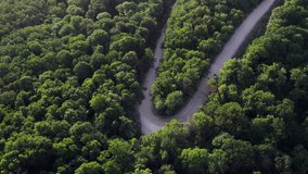V-shaped road in the forest with green trees during the summer in the light of the sunrise. Filming with a drone in 4k quality.
